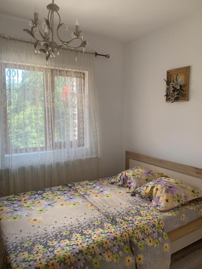 B House Буштени Экстерьер фото